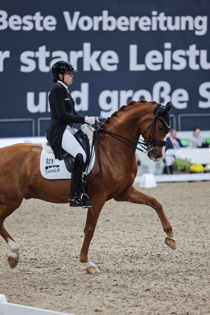 schölermann superstar 